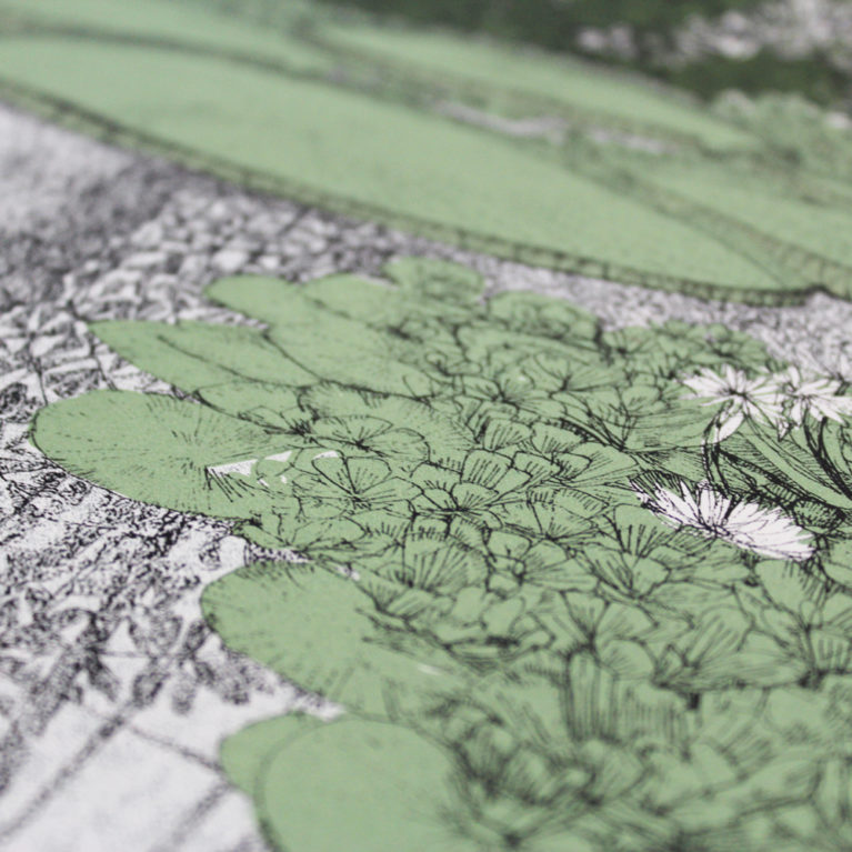 What A Waterlilly Clare Halifax Print Club London Screen Print