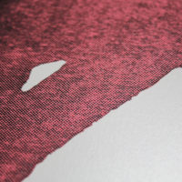 Barbican Botanical III Ellie Foreman-Peck Print Club London Screen Print