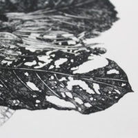 Vanitas Leaves Lucille Clerc Print Club London Screen Print