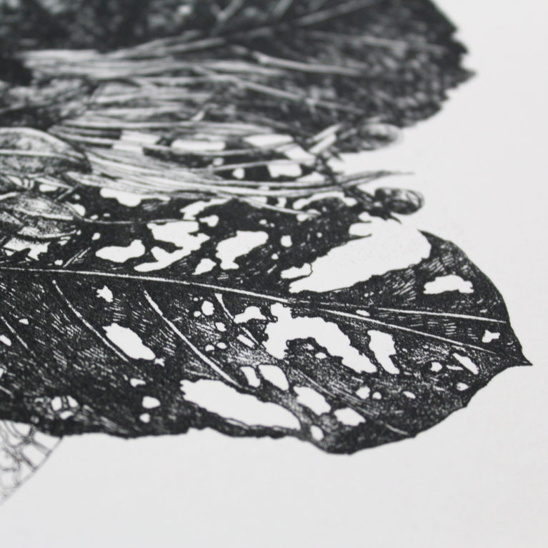 Vanitas Leaves Lucille Clerc Print Club London Screen Print