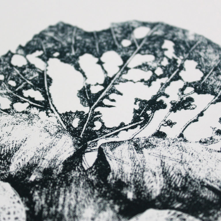 Vanitas Leaves Lucille Clerc Print Club London Screen Print