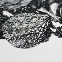 Vanitas Leaves Lucille Clerc Print Club London Screen Print