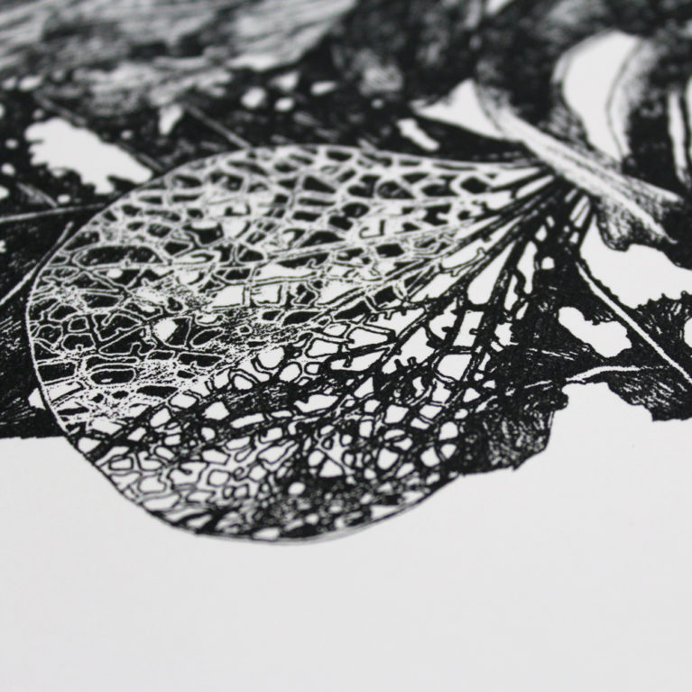 Vanitas Leaves Lucille Clerc Print Club London Screen Print