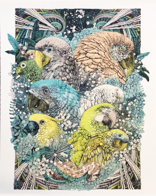 Jungle Book Parrots Lucille Clerc Print Club London