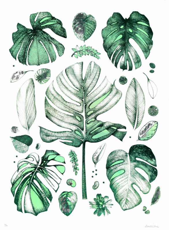 Tropical Leaves Lucille Clerc Print Club London Screen Print