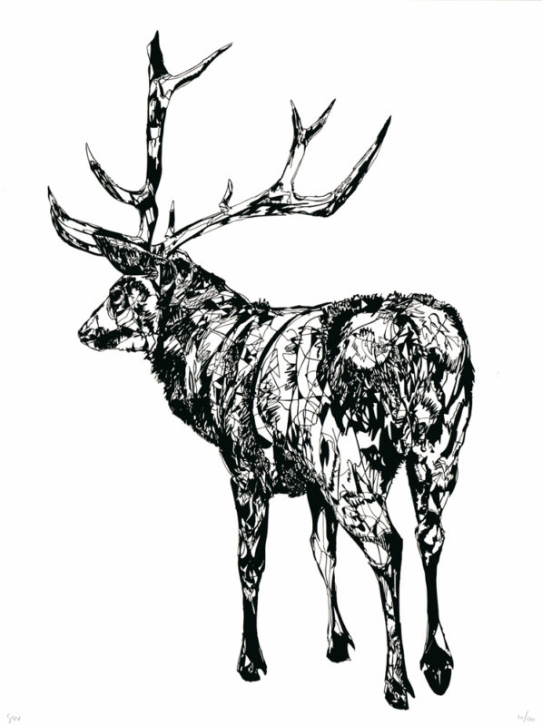 Full Standing Stag Susie Wright