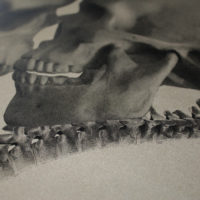 Till Death Cassandra Yap Print Club London Screen Print