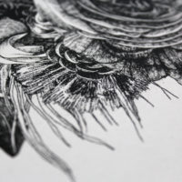 Vanitas Tropcial Lucille Clerc Print Club London Screen Print