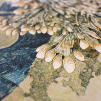 Kodama Coral Lucille Clerc Print Club London Screen Print