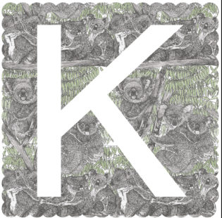 K is for Koala Clare Halifax Print Club London Screen Print