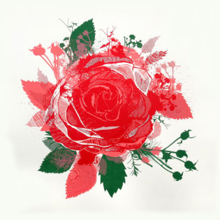 Rose Chris Keegan Print Club London Screen Print