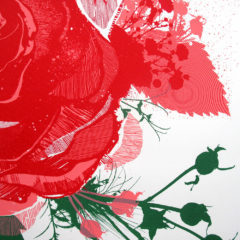 Rose Chris Keegan Print Club London Screen Print