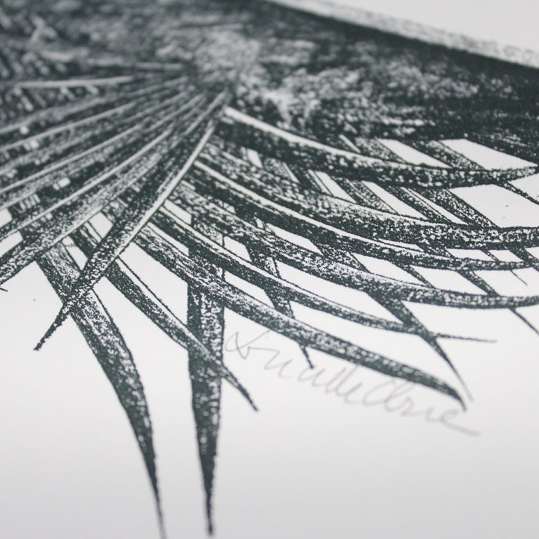 Palm Canopy Lucille Clerc Print Club London Screen Print