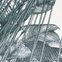 Under The Leaves Lucille Clerc Print Club London Screen Print