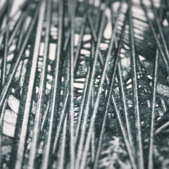 Under The Leaves Lucille Clerc Print Club London Screen Print