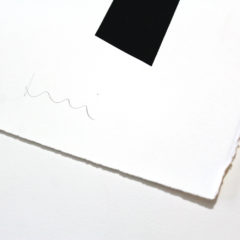 Form Jonathan Lawes Print Club London Screen Print