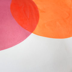 Neon Heidi Nadja Lavin Print Club London Screen Print