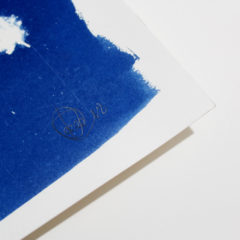 Falling with Feathers Craig Keenan Print Club London Screen Print