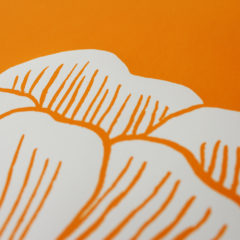 Rose Natasha Searston Print Club London Screen Print