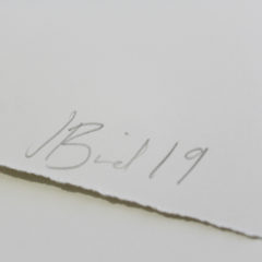 Folded Jessica Rose Bird Print Club London Screen Print