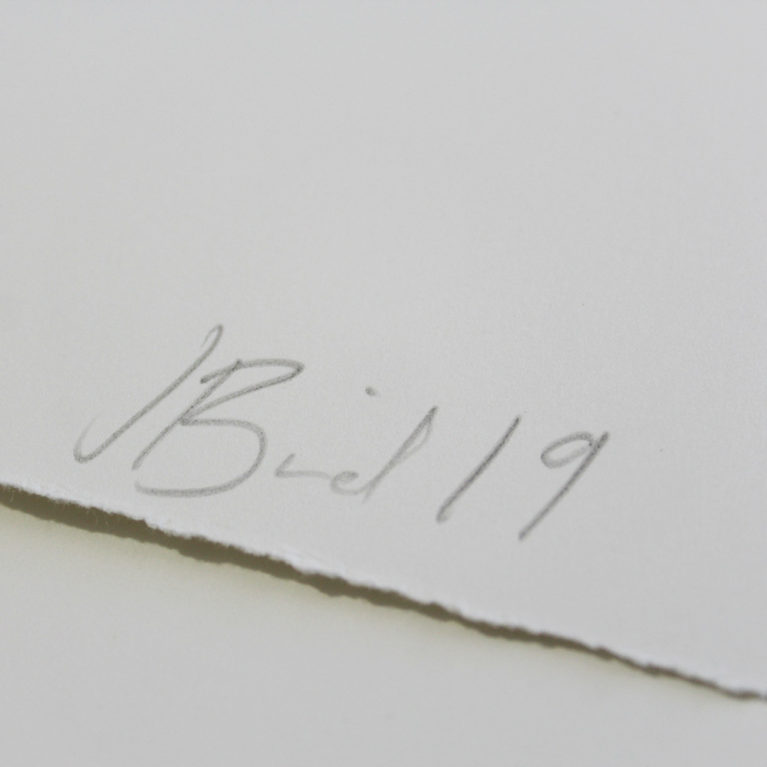 Folded Jessica Rose Bird Print Club London Screen Print