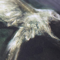 Owl Grace Wilmshurst Print Club London Screen Print