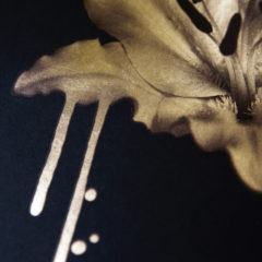 Gilded Lily DONK Print Club London Screen Print