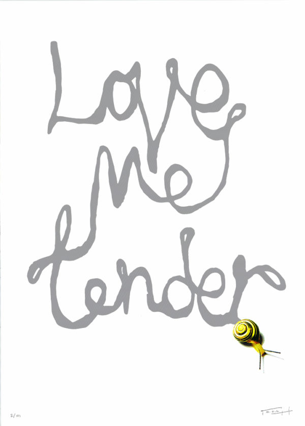 The artwork features the phrase "Love Me Tender - Silver Edition" beautifully scripted, where a snail with a striking yellow and brown shell cleverly shapes the 'd' in "tender." This imaginative detail introduces a playful charm to this distinctive design.