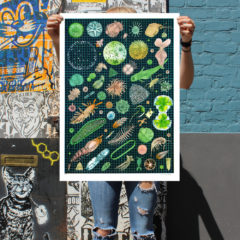 Lucille Clerc Print Club London Screen PRint