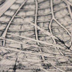 Lucille Clerc Print Club London Screen PRint