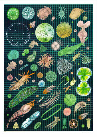post grid thumbnail
