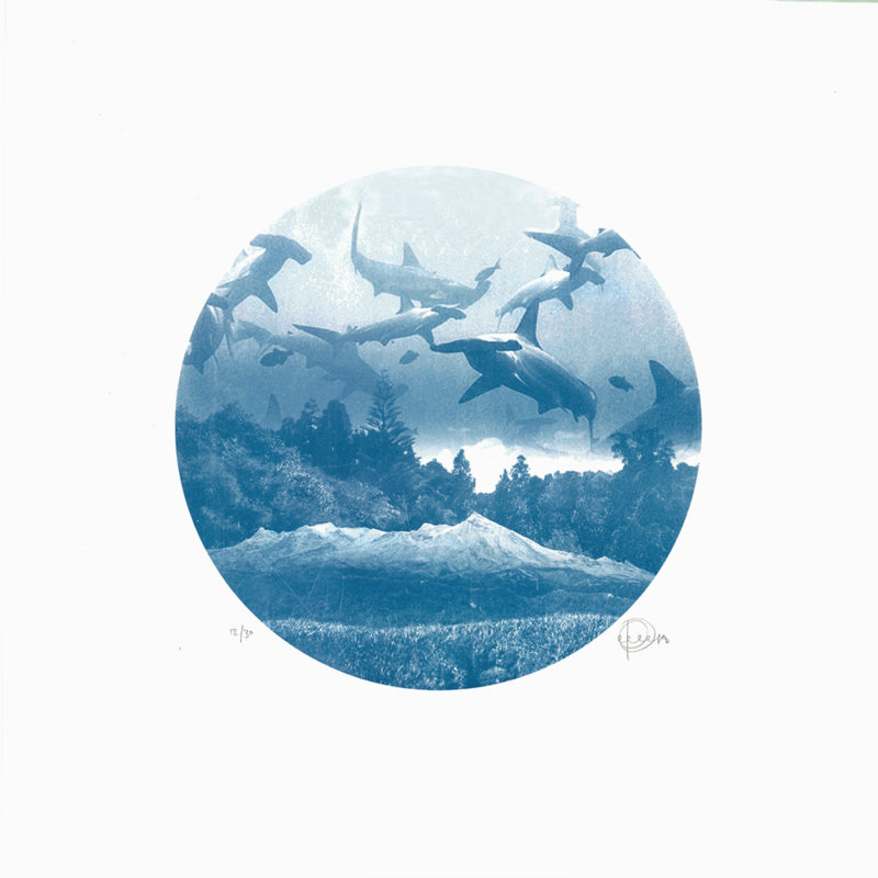 Sharks Craig Keenan Print Club London Screen Print