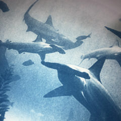 craig Sharks Craig Keenan Print Club London Screen Print