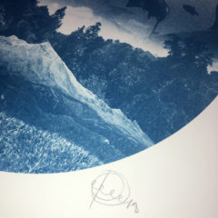 Sharks Craig Keenan Print Club London Screen Print