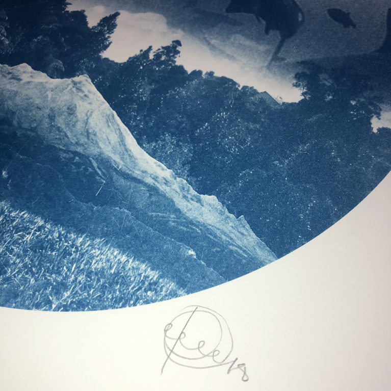 Sharks Craig Keenan Print Club London Screen Print