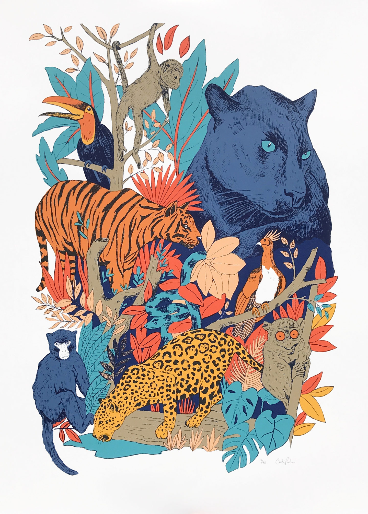 Jungle Fever by Caitlin Parks - Print Club London