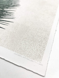 clare Halifax Palm fanning Screen print 02