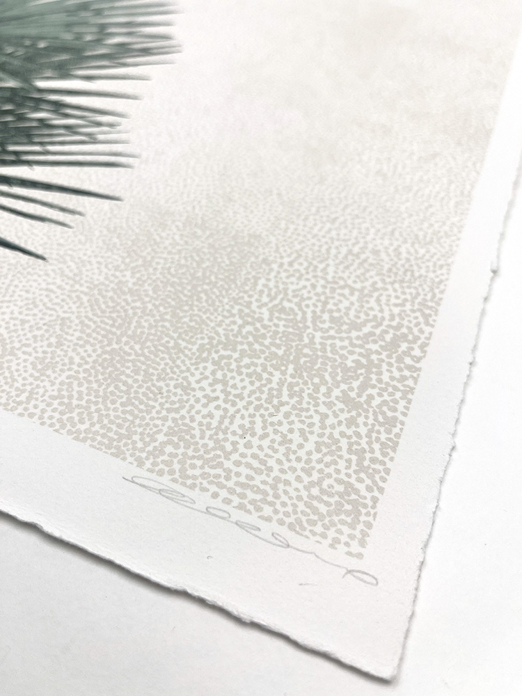 clare Halifax Palm fanning Screen print 02