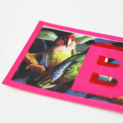 Dave Buonaguidi  Print Club London Screen Print