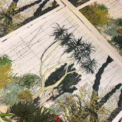 cacti cluster close up 2- Clare Halifax