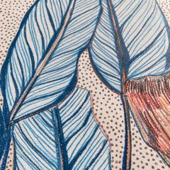 Clare Halifax Print Club London Original Drawing