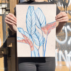 Clare Halifax Print Club London Original Drawing