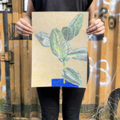 Clare Halifax Print Club London Original Drawing