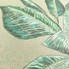 Clare Halifax Print Club London Original Drawing