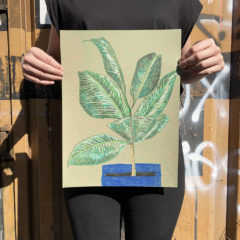 Clare Halifax Print Club London Original Drawing