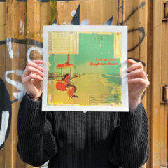 Greetings-From-Daytona-Beach-Held