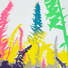 Chris Keegan Print Club London