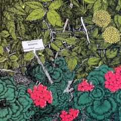 Clare Halifax Print Club London Screenprint