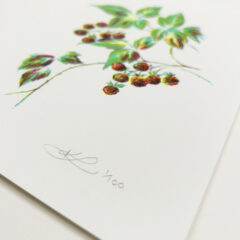 Kath Bramble CLOSE 2