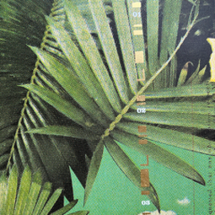 Maxine Gregson Print Club London Screenprint